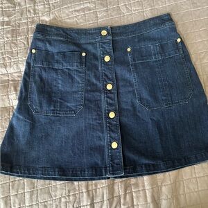 Rag and Bone Denim Button-Front Skirt size 4